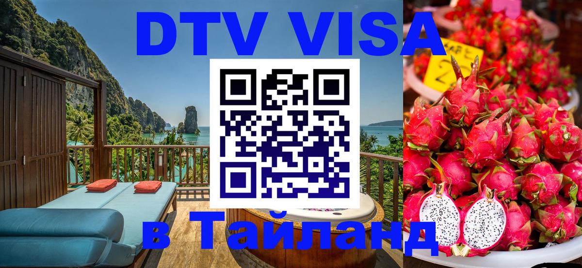 Сколько стоит DTV виза — актуальные цены, оформление даже без документов - Норильск 